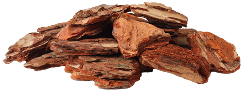 Pine Bark Extract